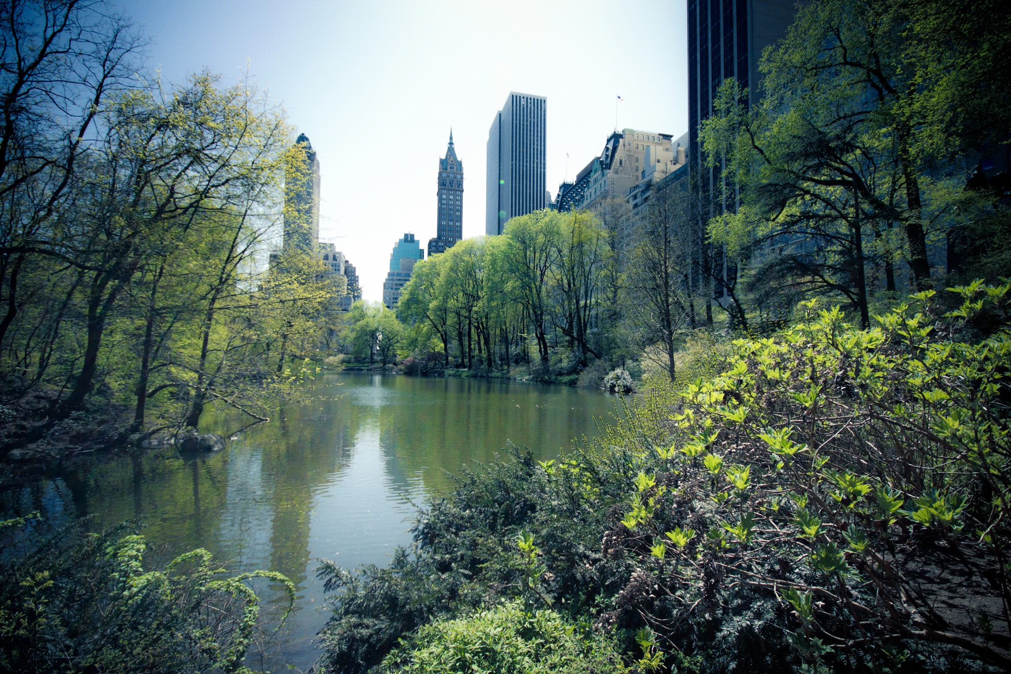 Central Park, New York City